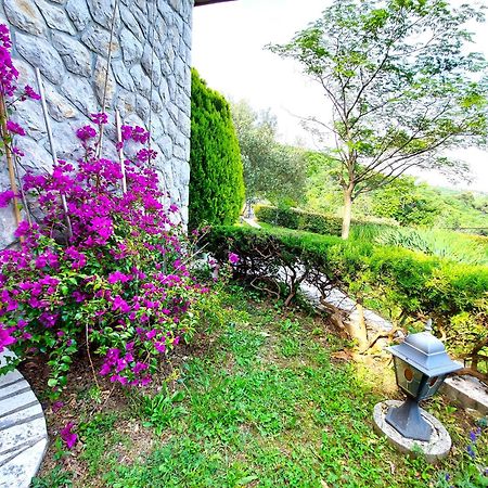 Apartment Mediterranean Garden Ριέκα Εξωτερικό φωτογραφία