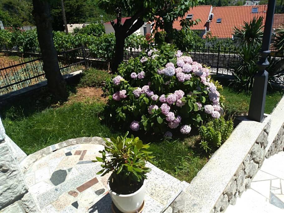 Apartment Mediterranean Garden Ριέκα Εξωτερικό φωτογραφία