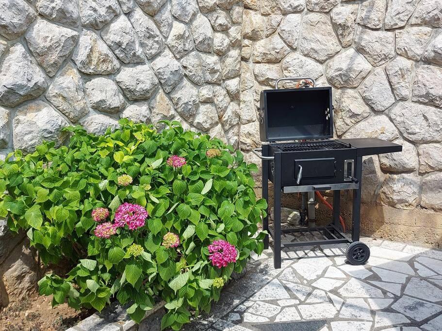 Apartment Mediterranean Garden Ριέκα Εξωτερικό φωτογραφία