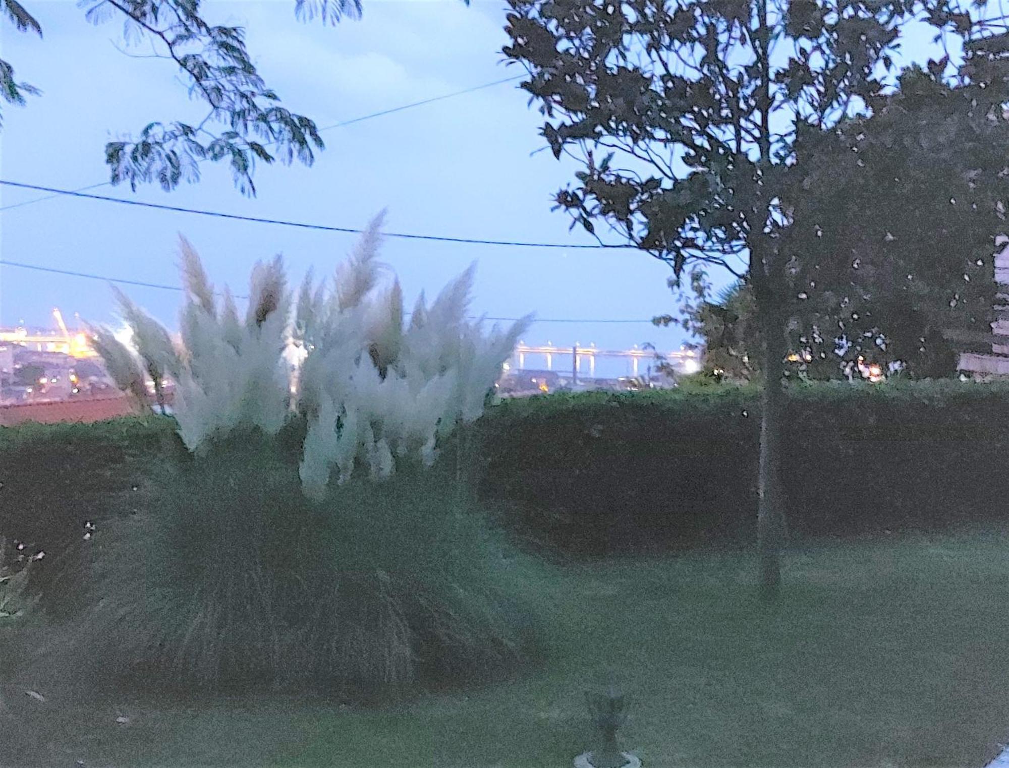 Apartment Mediterranean Garden Ριέκα Εξωτερικό φωτογραφία