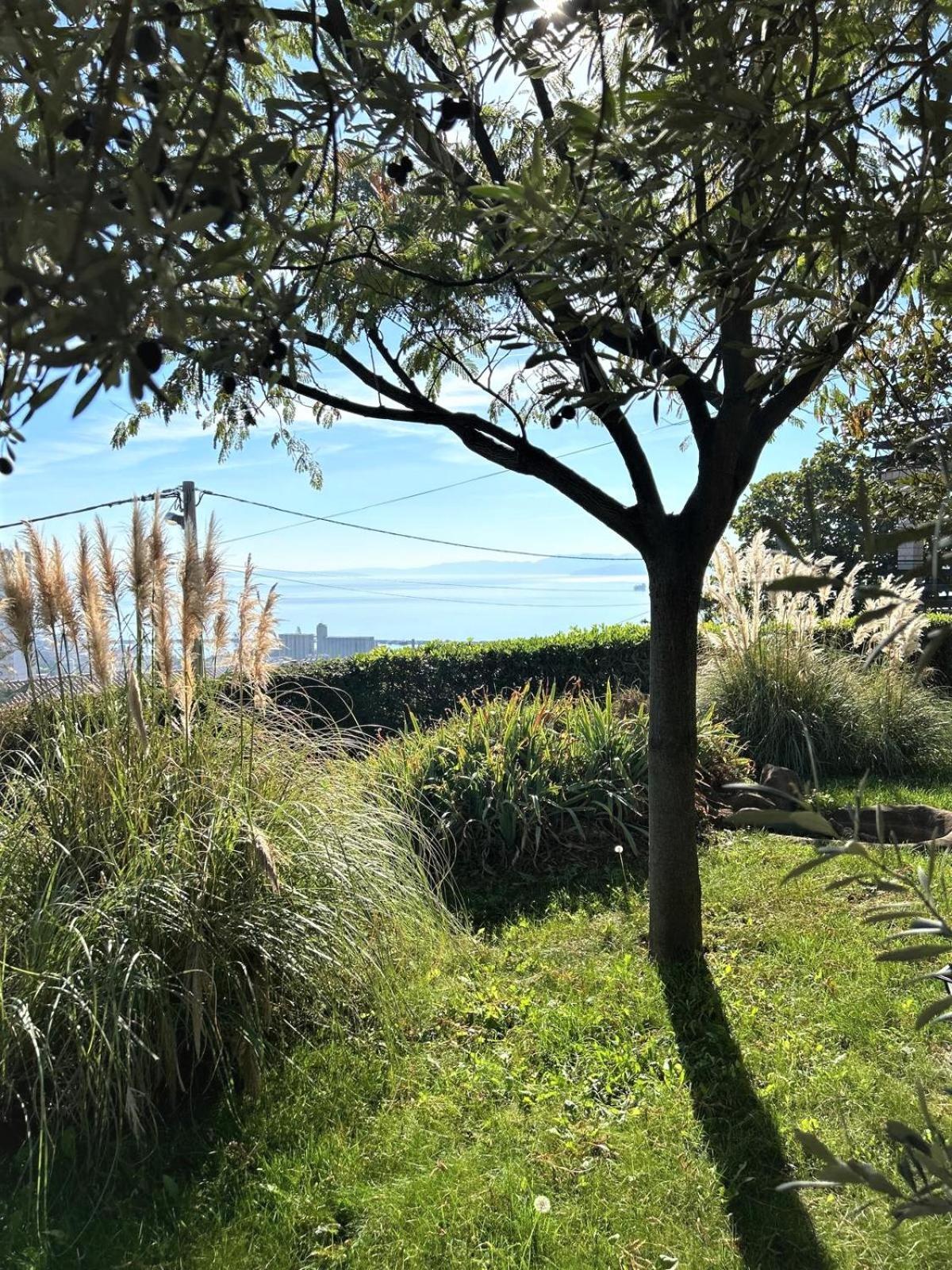 Apartment Mediterranean Garden Ριέκα Εξωτερικό φωτογραφία